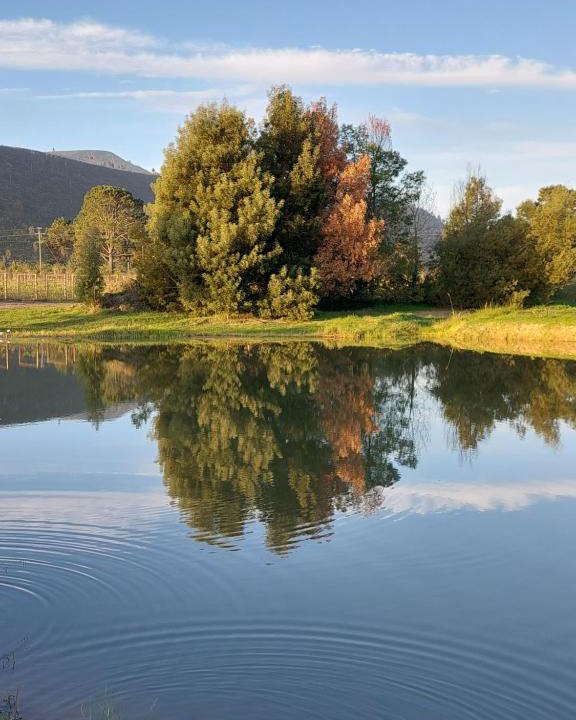Die Barakke Apartment | 20 Good Summers Farm Stay
