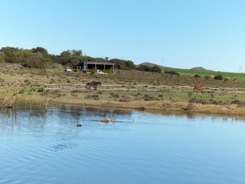 Baardskeerdersbos House | Countryside Container Home