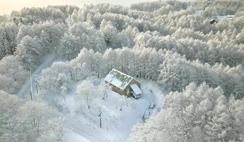 Madarao Mountain Resort Cabin | Echoland Madarao エコーランド斑尾 All en-suite rooms & a free 3-minute shuttle to the ski resort