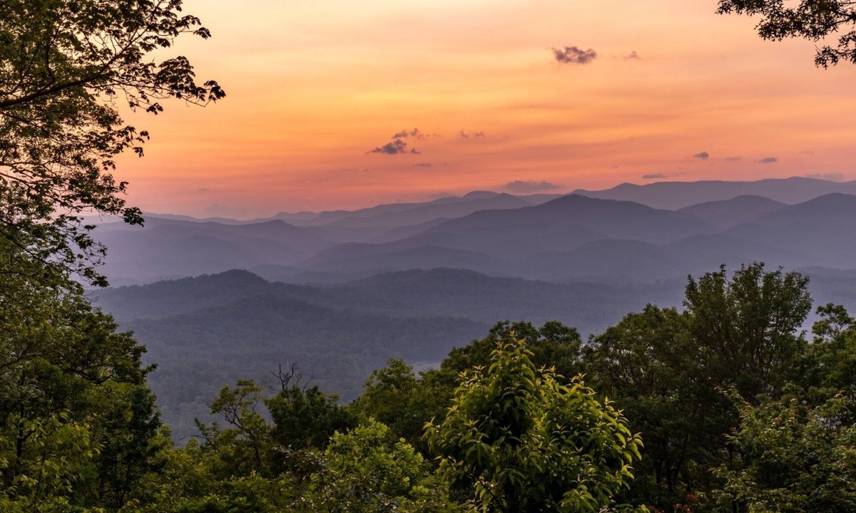 Brevard Cabin | EPIC Blue Ridge SUNSET VIEW, 12 acres, light/bright 10 min to dtn! Dogs welcome!