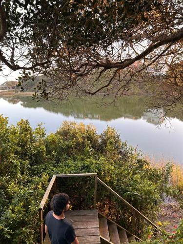 Seafield House | Explore River Cottage Ocean View