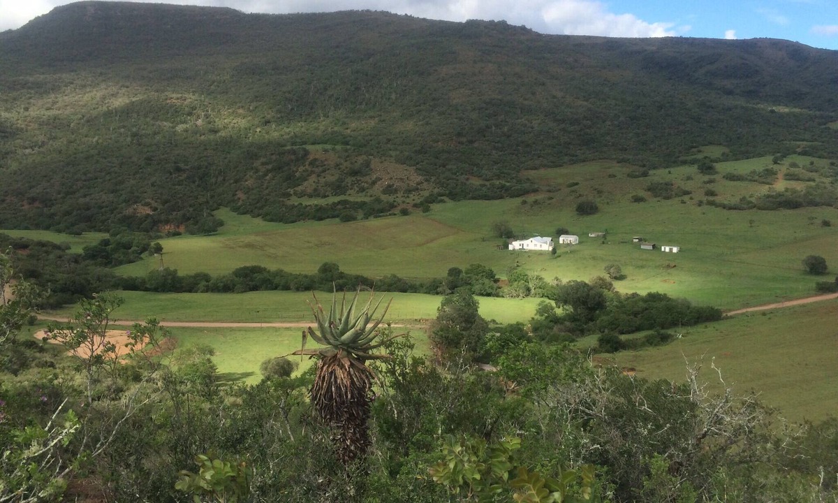 Addo Bed & Breakfast | Farm Stays, Here you will be able to relax and enjoy the beauty of nature