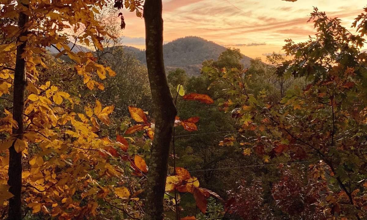 Fairview House | Great Location, Romantic & Private, yet Central to Avl, Black Mtn, & outdoor fun