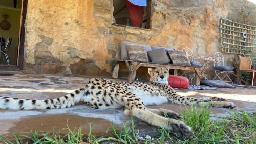 Cederberg House | Iziba Principality