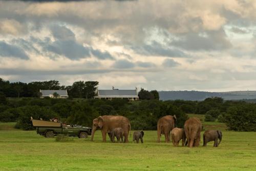 Addo Cabin | RiverBend Lodge