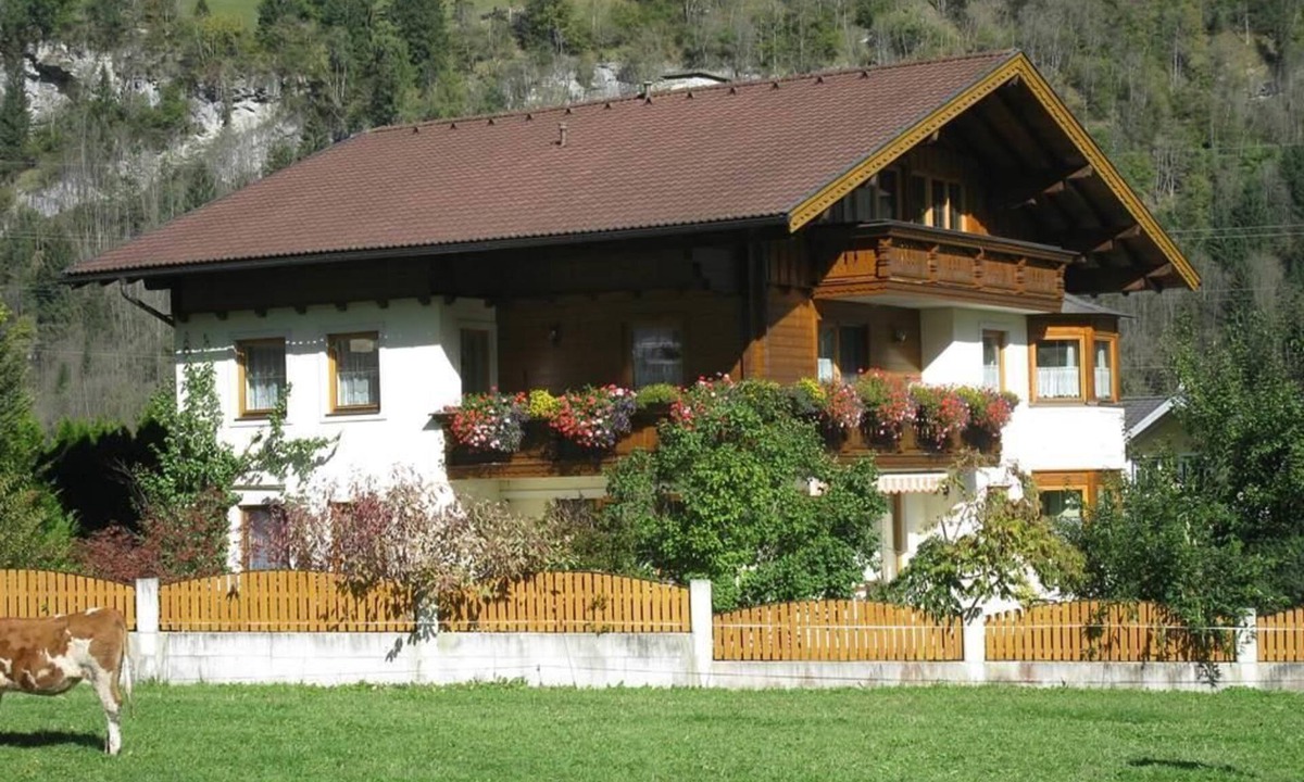 Dorfgastein Apartment | Schönegger, House - Apartment/living room/bedroom/shower, WC