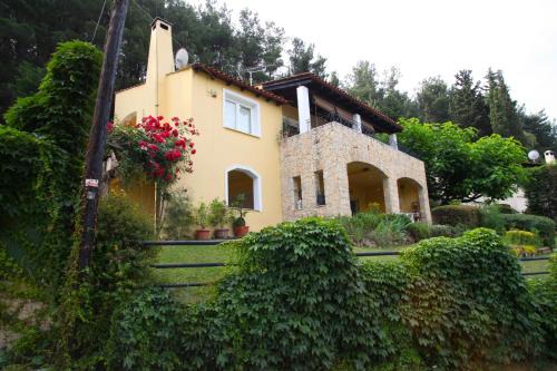 Zigos House | Six Steps From The Forest