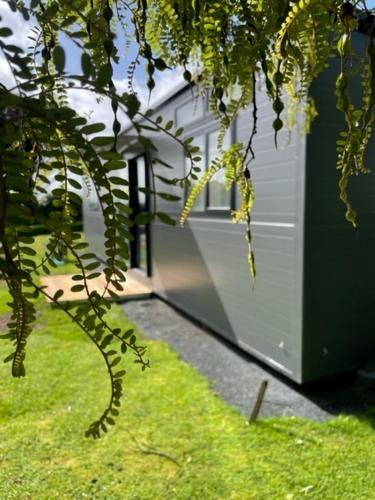 Te Awamutu House | Suite Ten10