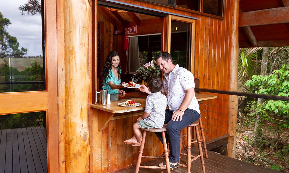 Tarzali Apartment | The Canopy Rainforest Treehouses and Wildlife Sanctuary