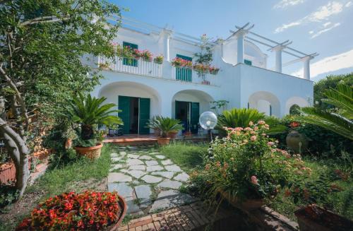 Tiberio Villa | Villa Domenicanda