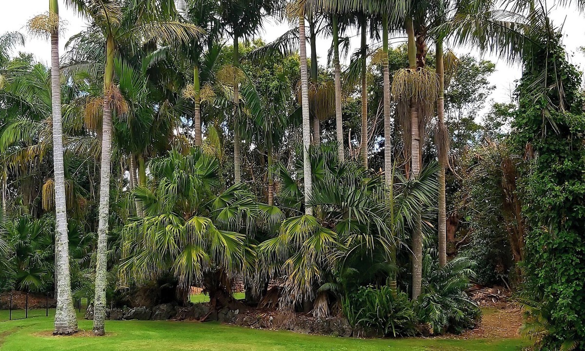 Kerikeri Cottage | Welcome to Darwin Cottage, Kerikeri, close to town, pet friendly