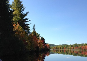 Algonquin Park Area House Cottage - Madawaska, Ontario, Canada in South Algonquin
