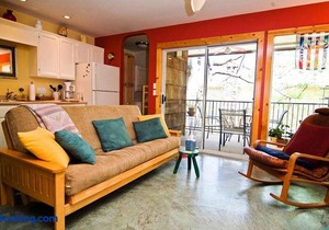 Barton Hills Condo in Austin