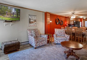 Powderidge 2 -Slope Side, Spacious Deck in Snowshoe