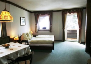 Single room with shower, WC - Hotel garni Landhaus Bürtlmair * in Mitterstoder