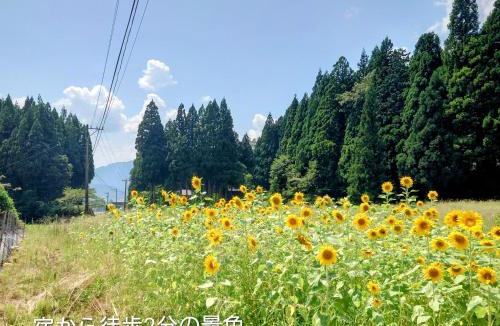 Katsuyama House | 恐竜博物館まで車10分バーベキュー機材無料貸出勝山ファミリーログハウス今日のおうち