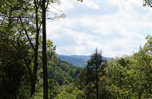 Vilas House | 1 Sweet Seclusion Peaceful cabin just outside of Boone with hot tub