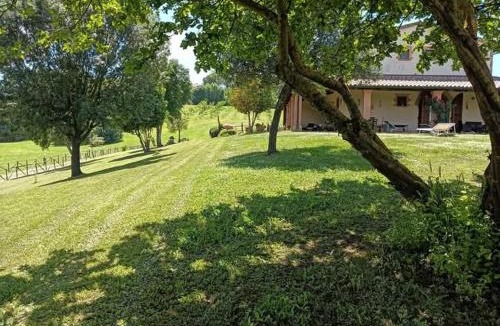 Montorsaio House | Agriturismo GREPPA BOVI