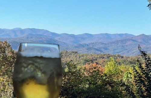 Pisgah Forest House | Amazing Mountain Views! Dog friendly, minutes to Pisgah Forest!