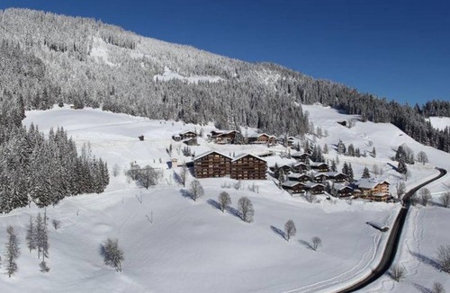 Muehlbach Am Hochkoenig Apartment | Apartment, bath, toilet, 1 bed room - Apartment Anemone