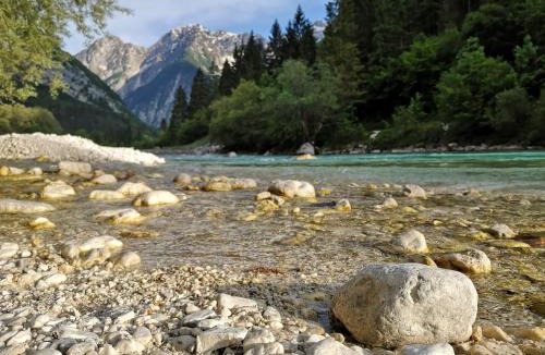 Bovec Apartment | Apartment Joži