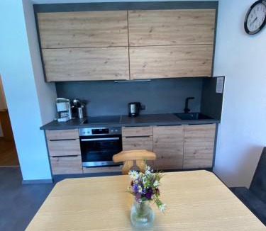 Pfunds Apartment | Aparts Handle