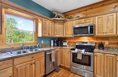 Ellijay Cabin | Arcade Cabin with Sauna, Cold Plunge, Hot Tub, Putting Green, and Mountain View