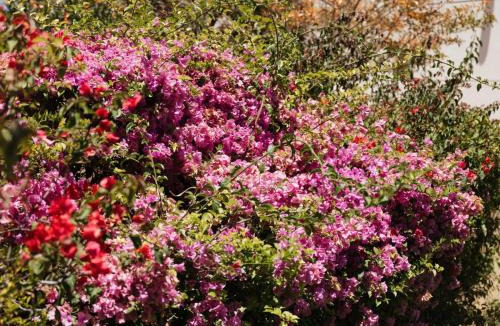 Graaff-Reinet House | Avondrust Guest House