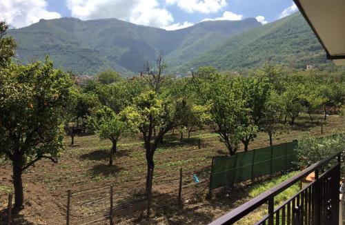 Corbara Bed & Breakfast | B & B Evergreen