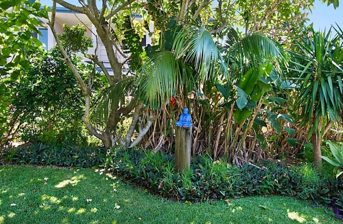 Lennox Head House | Beach House - Authentic Lennox Beachfront Shack