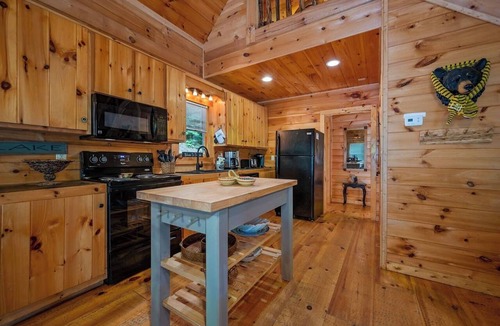 Lake Lure Cabin | Big, private Log Cabin/Mountains/HOT TUB/pet/canoe