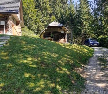 Goreljek Apartment | Brunarica na Goreljeku, Pokljuka