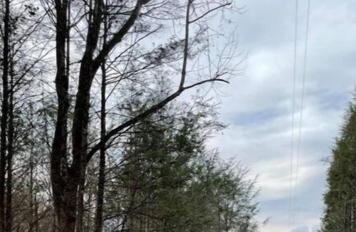 Roan Mountain House | Camp Safe Haven Farm RV Spot #1