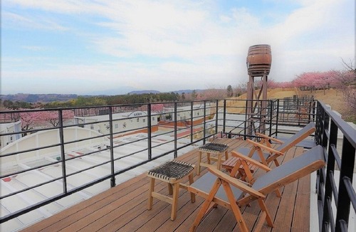 Izu RV Rental | Casual BBQ plan with emphasis on grilled food | Bo/Izu City Shizuoka
