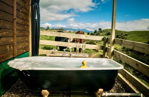 Hurworth RV Rental | Charming Safari Tent Rental Situated near New Plymouth, North Island