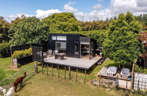 New Plymouth Cabin | Charming Tiny House Surrounded by Trees in New Plymouth, North Island