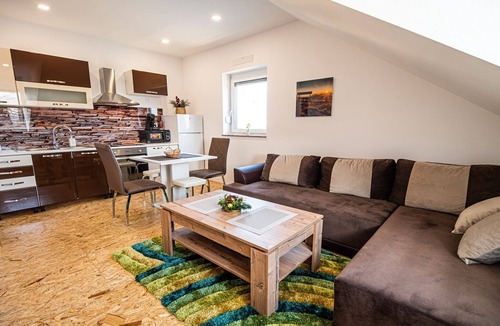 Siska District Apartment | City Modern and Vibrant Apartments Ljubljana - Standard One Bedroom Apartment