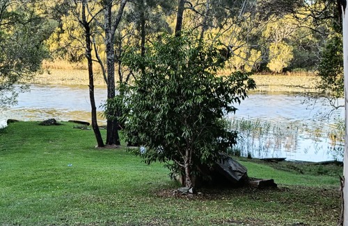 Northern Rivers Cabin | Comfy River view cabin on a nice secluded property with kayaks, beaches nearby .