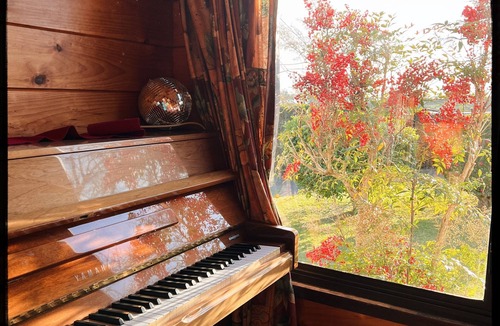 Whakamarama House | Cosy and peaceful. A home away from home!