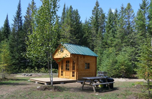 Hastings Highlands Cabin | Deer Meadow #1