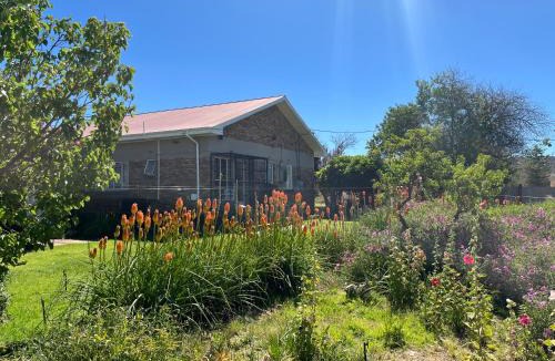 Sutherland House | DKC Accommodation