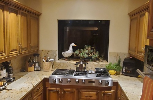 Southeast Carmel House | Escape the extreme summer heat in a Spanish Villa in Carmel-by-the-Sea