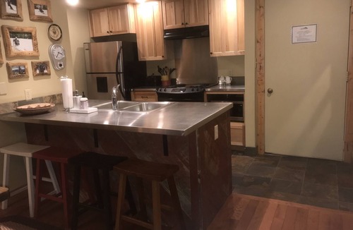 Mount Crested Butte Condo | Exquisite Mountain View! Great Location on Free Bus Route! 5 Star Reviews!