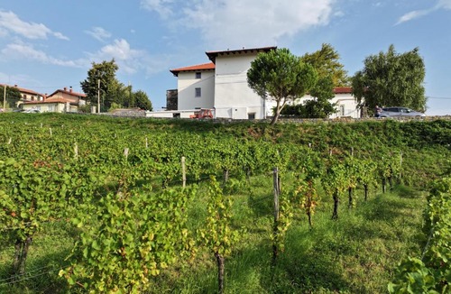 Kojsko Bed & Breakfast | Grad Kojsko