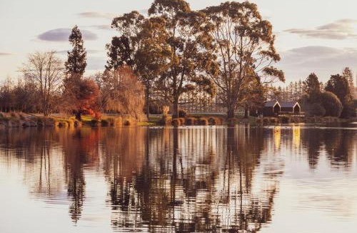 Glenavy Other | HighTree Chalets