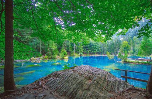 Blausee Hotel | Hotel & Spa Blausee