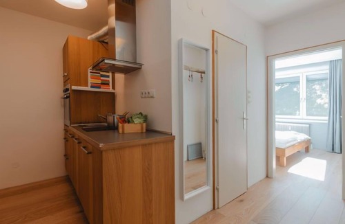 Bad Gastein Apartment | Judith Top 13 by Interhome