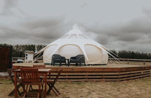 Solway Other | Kay Bell