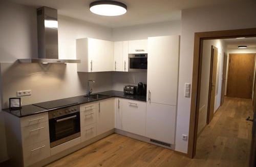 Hollersbach im Pinzgau Apartment | Kitzbuheler Alpen Residenz Top2 with Sauna Hollersbach