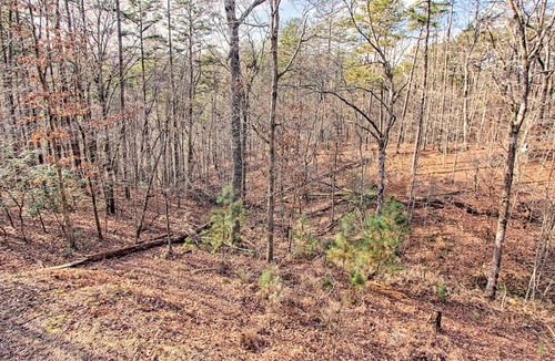 Ellijay Cabin | Lovely cabin for family fun in desirable Coosawattee River Resort - dog-friendly